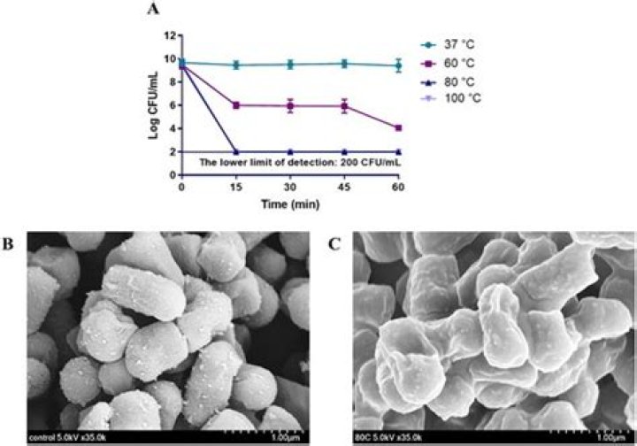Are all bacteria killed by heat?