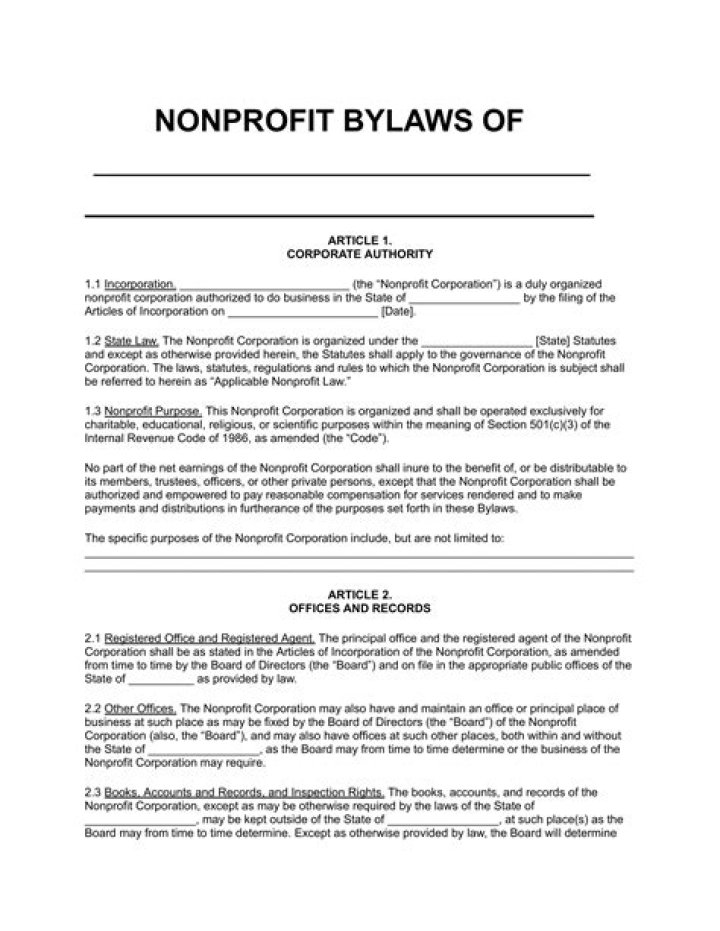 Are bylaws an operating agreement?