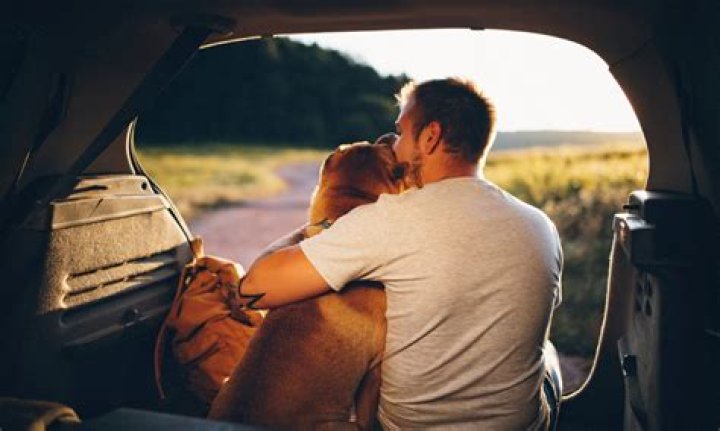 Are dogs good wingman?