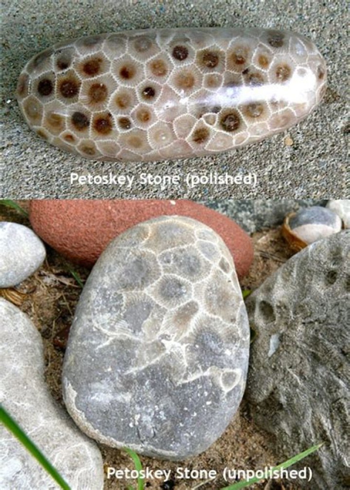 Are petoskey stones only found in michigan?