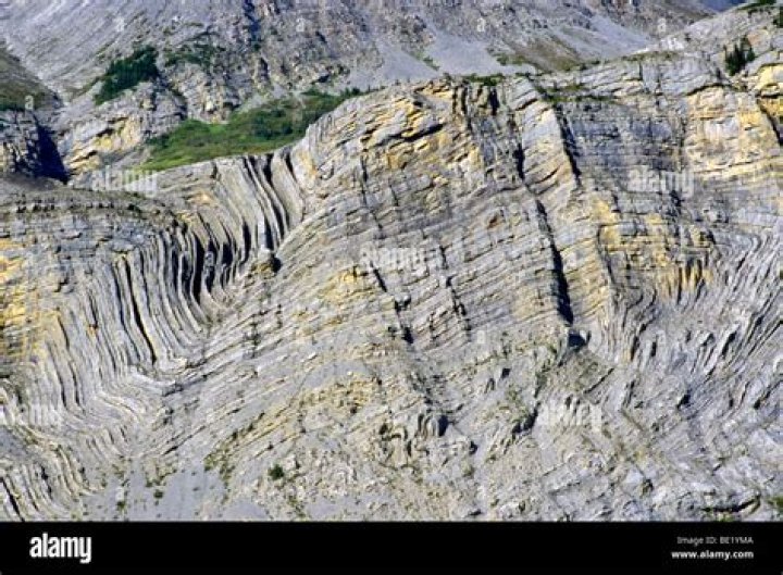 Are rockies fold mountains?