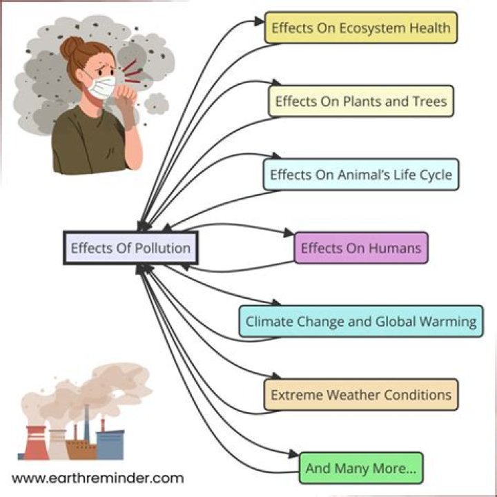 Are the effects of pollution?