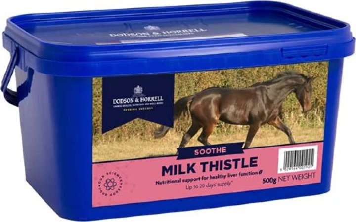 Are thistles good for horses?