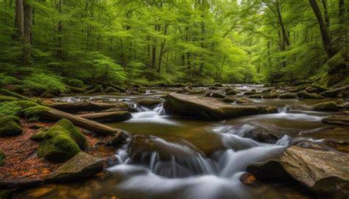 At trace state park?