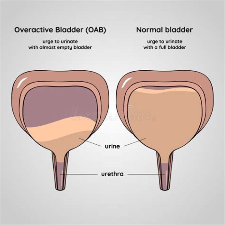 At what age does your bladder weaken?
