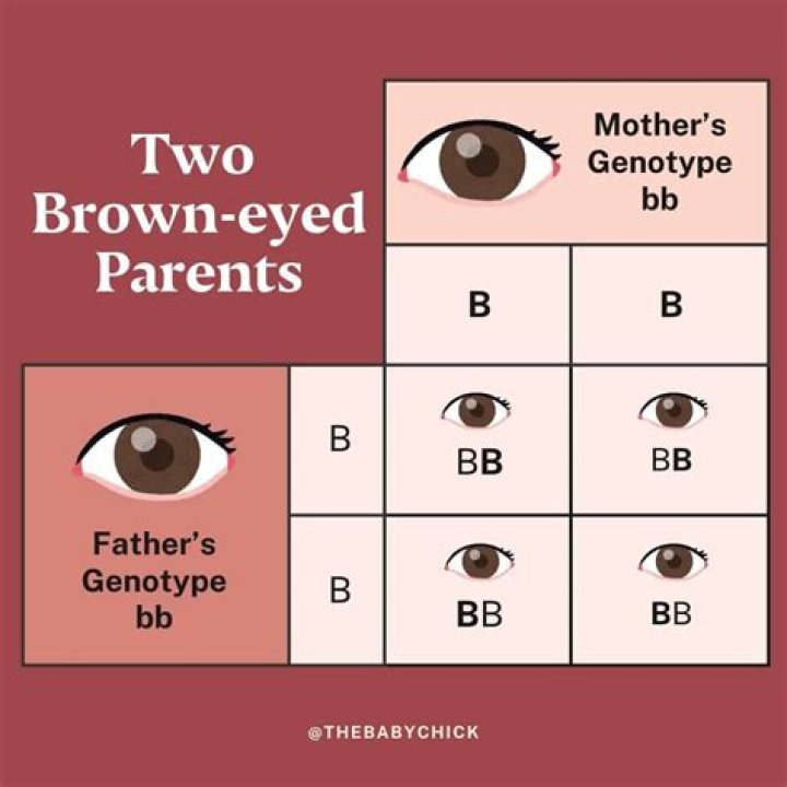 Can 2 brown eyed parents have a hazel eyed child?