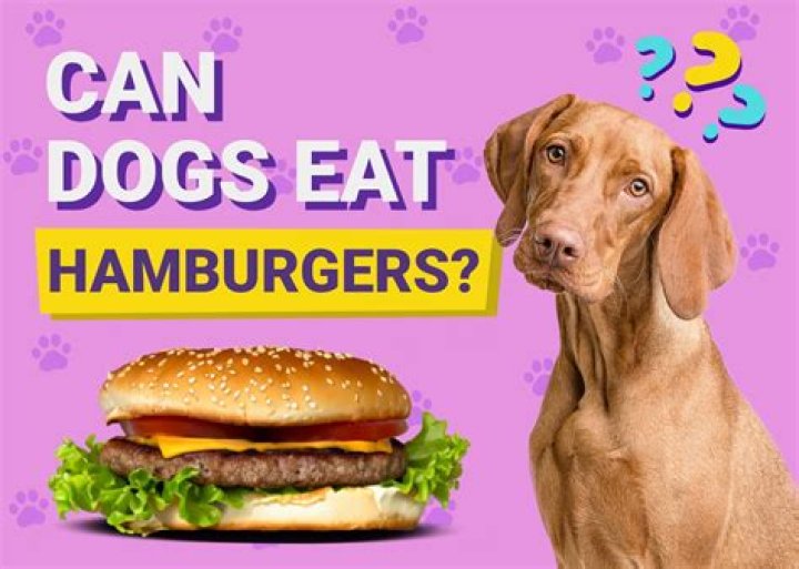 Can dogs eat disodium edta?