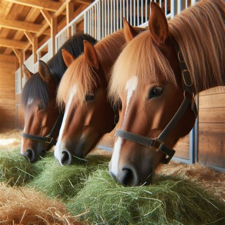 Can horses eat fresh mowed grass?