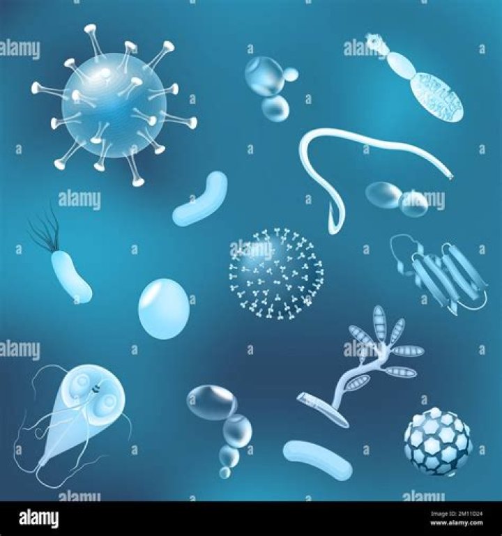 Can images contain viruses?