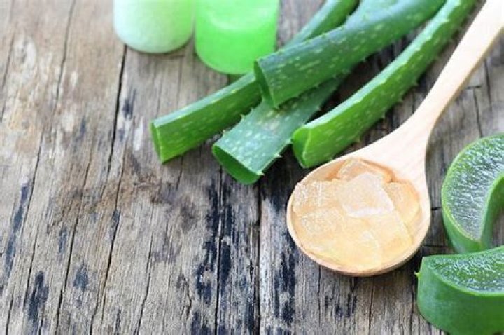 Can you eat aloe?