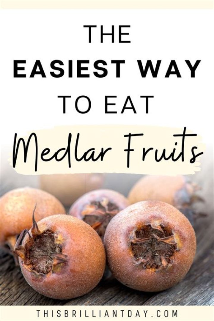 Can you eat medlar seeds?