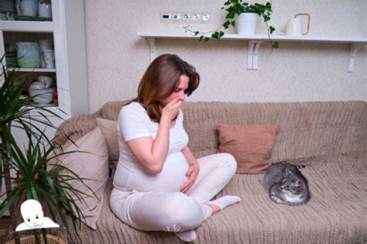 Can you take pepto while pregnant?