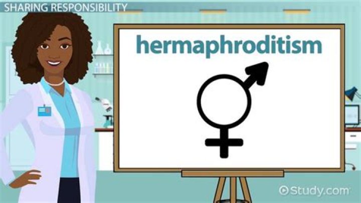 Could i be a hermaphrodite?