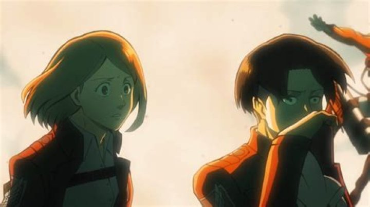 Did levi and petra have a thing?
