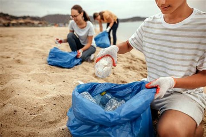 Do beach cleanups make a difference?