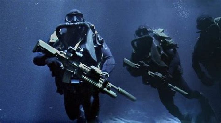 Do sdv teams see combat?