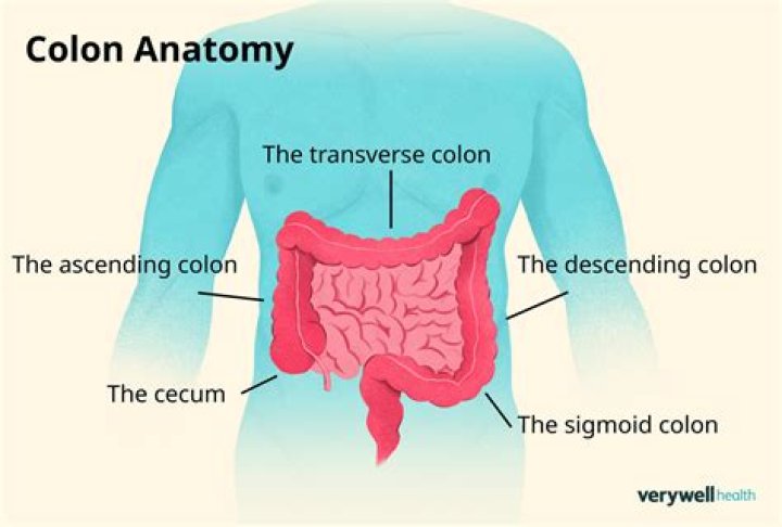 Does a colon mean and?