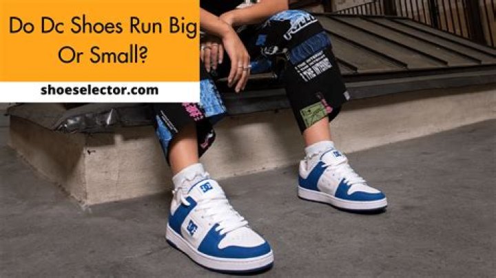 Does chaser run small?