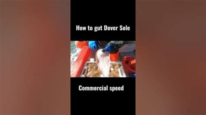 Does dover sole need gutting?