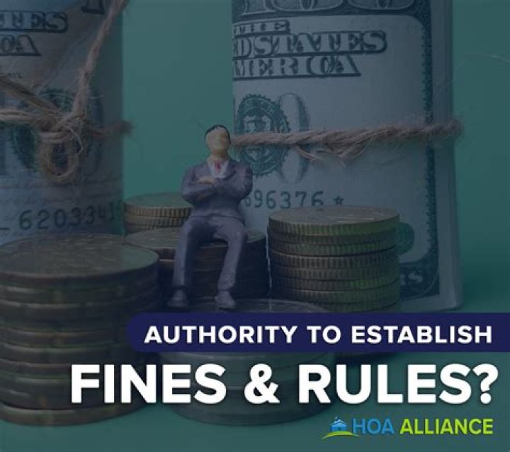 Does hoa have any authority?
