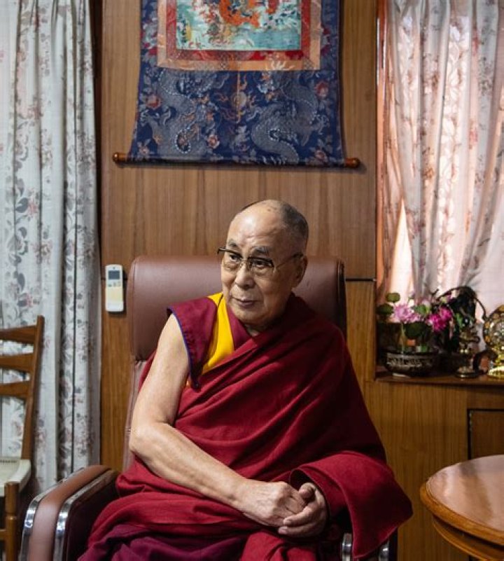 Does the dalai lama have a cat?