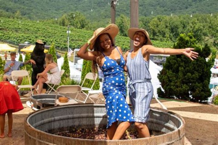Does yonah mountain winery serve food?