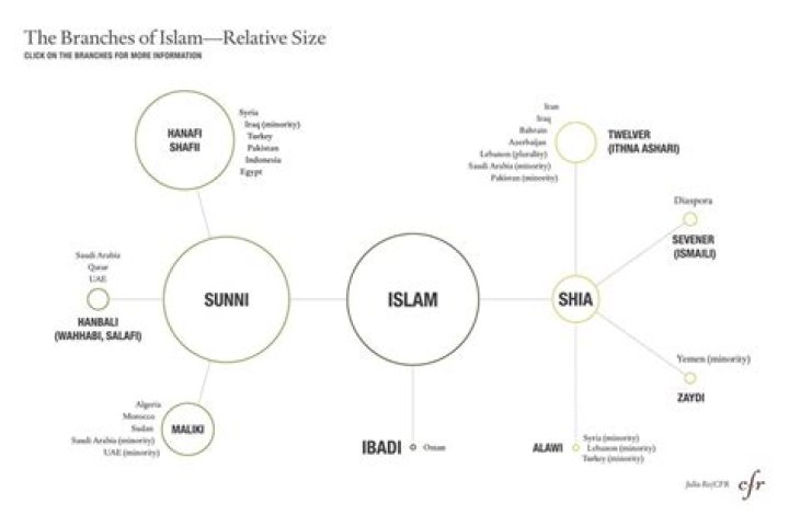 How did shia sect started?