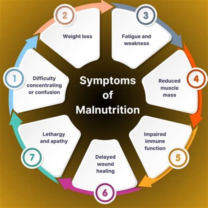 How does undernutrition affect the aging process?
