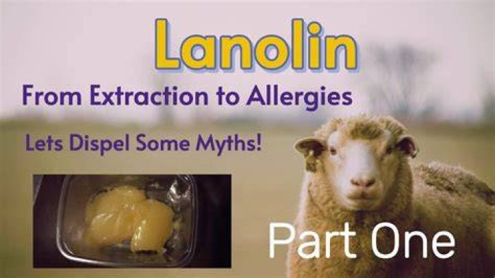 How is lanolin extracted?