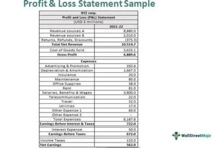 How much is an audited profit and loss?