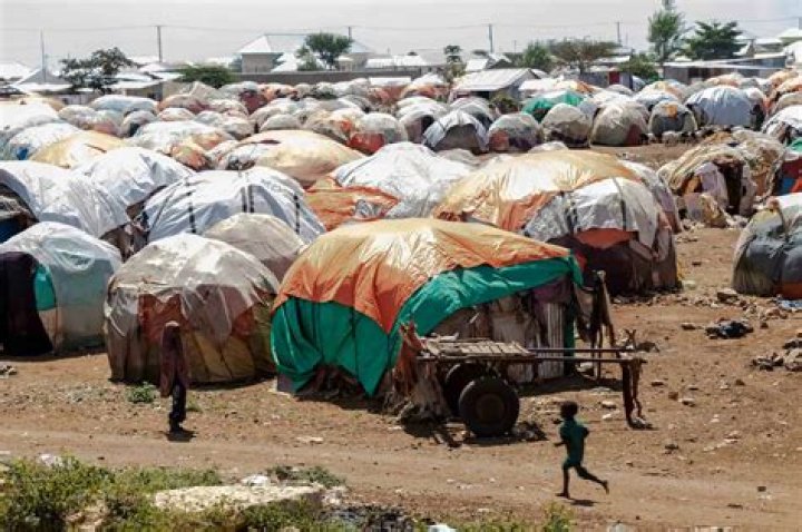 How refugee camps work?