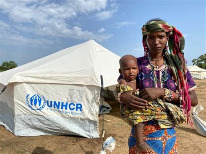 How refugees can help a country?