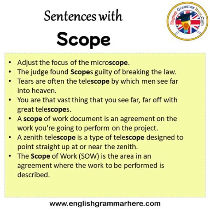 How scope in a sentence?
