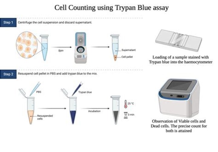 How to make trypan blue for cell counting?