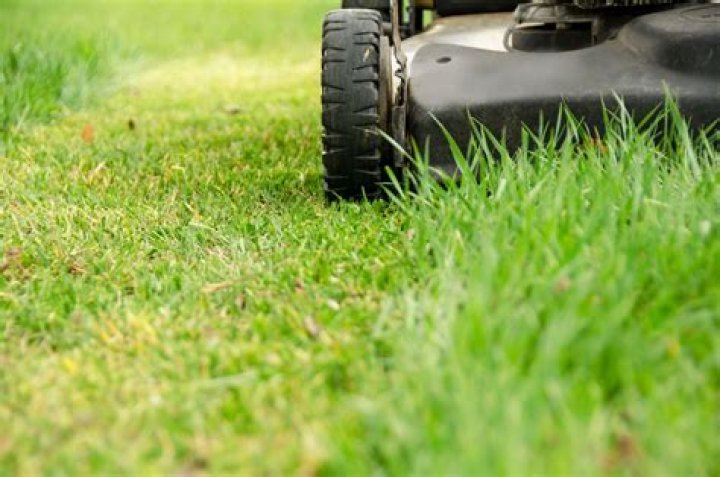How to mow a lawn?