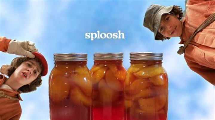 How to use splosh in a sentence?