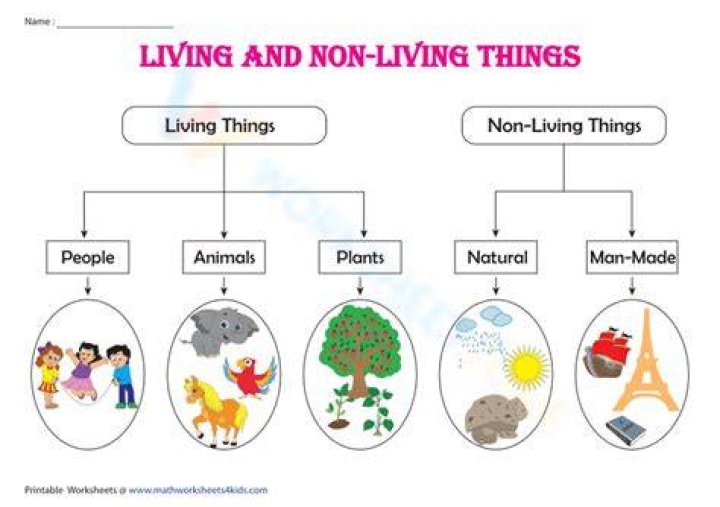 Is an apple on a tree living or nonliving?