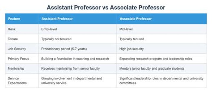 Is assistant professor a professor?
