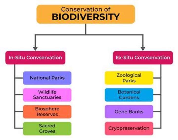 Is biodiversity important in ecosystems?