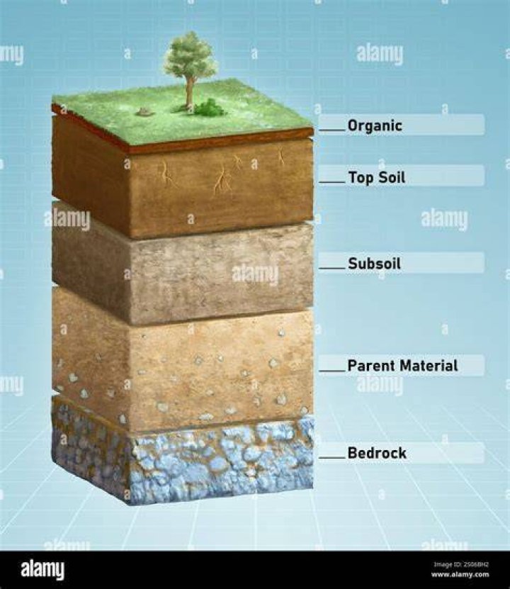 Is dirts plural of dirt?
