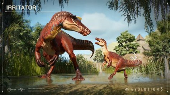 Is irritator a noun?