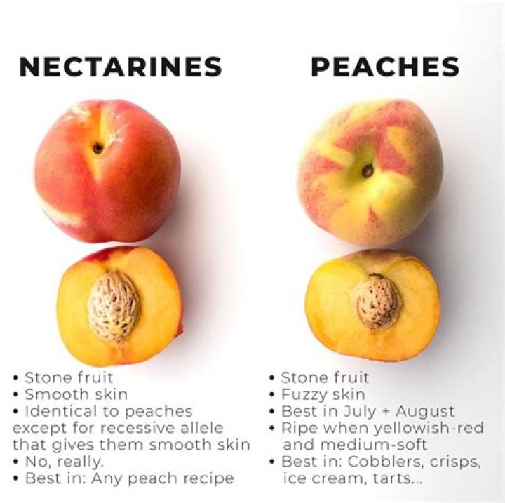 Is nectarine a peach?