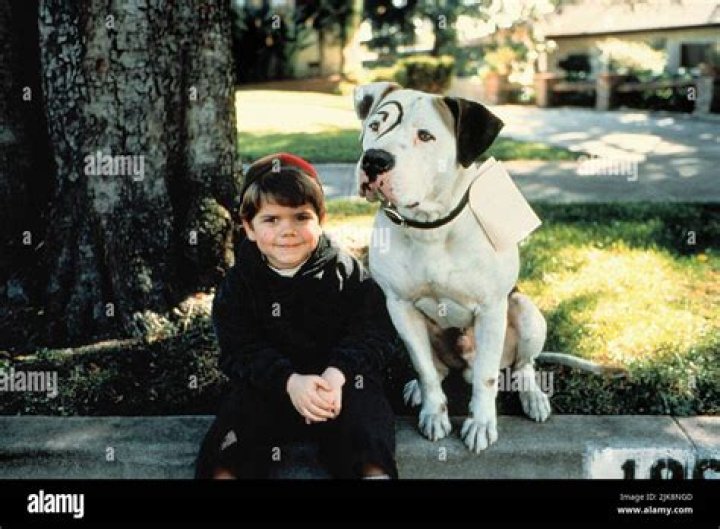 Is petey from little rascals (1994 still alive)?