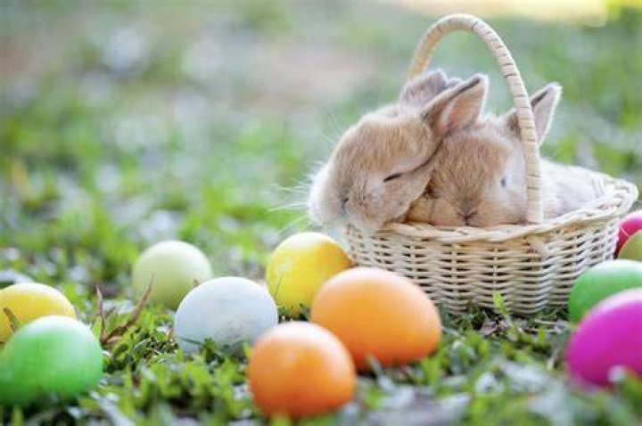 On what day does the easter bunny come?