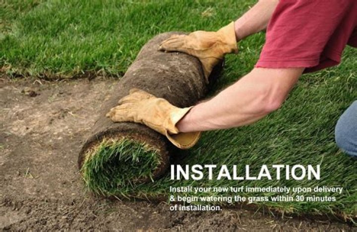 Should i till before laying sod?