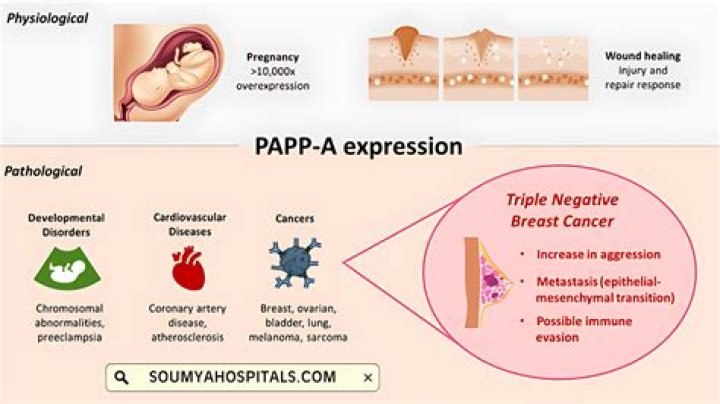 Should i worry about low papp-a?