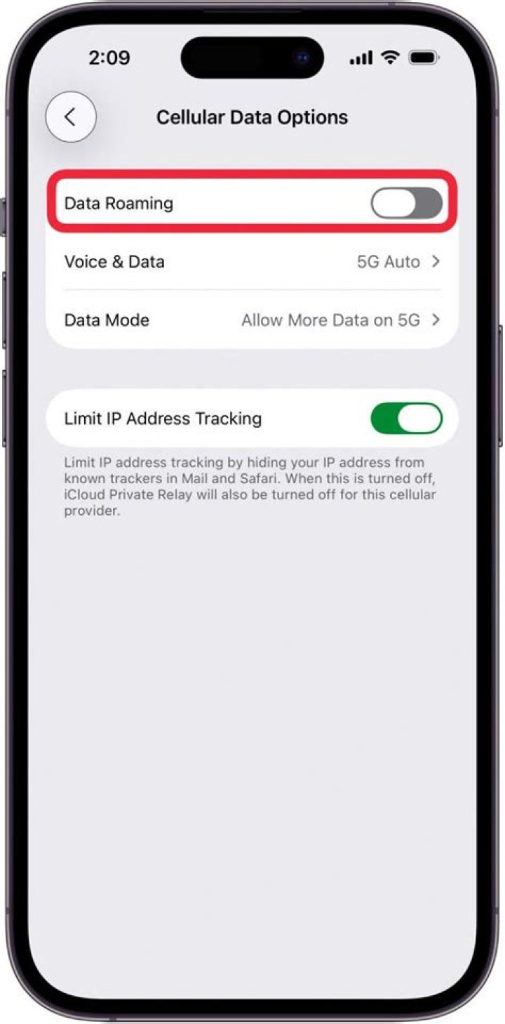 Should voice roaming be on or off?