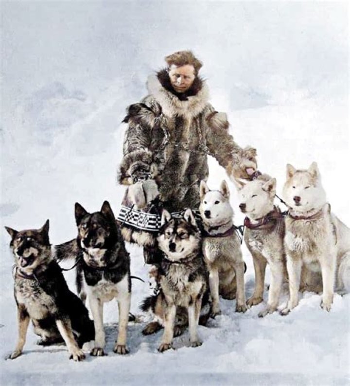 Was balto leonhard seppala dog?