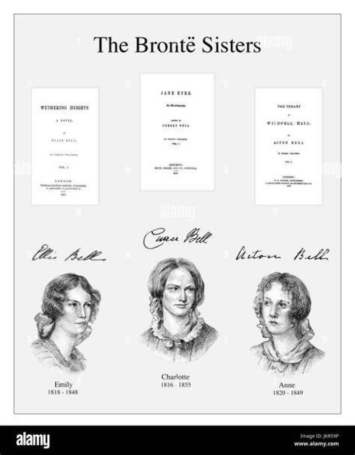 Were charlotte bronte and emily bronte sisters?