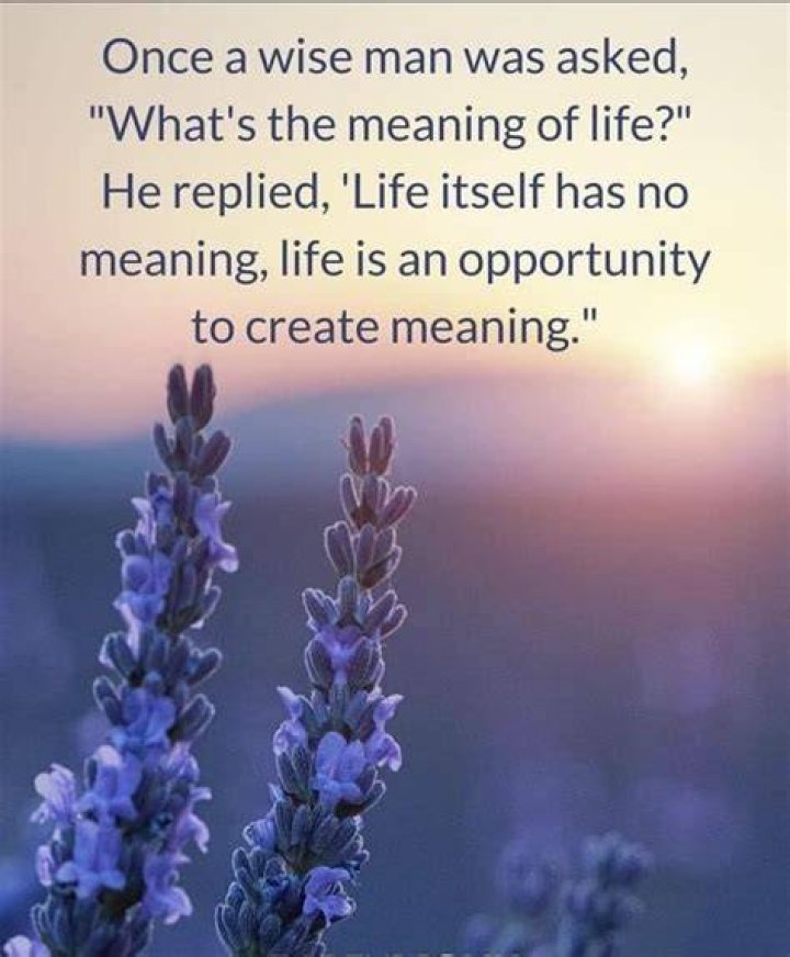 What's the meaning of inapprehensible?